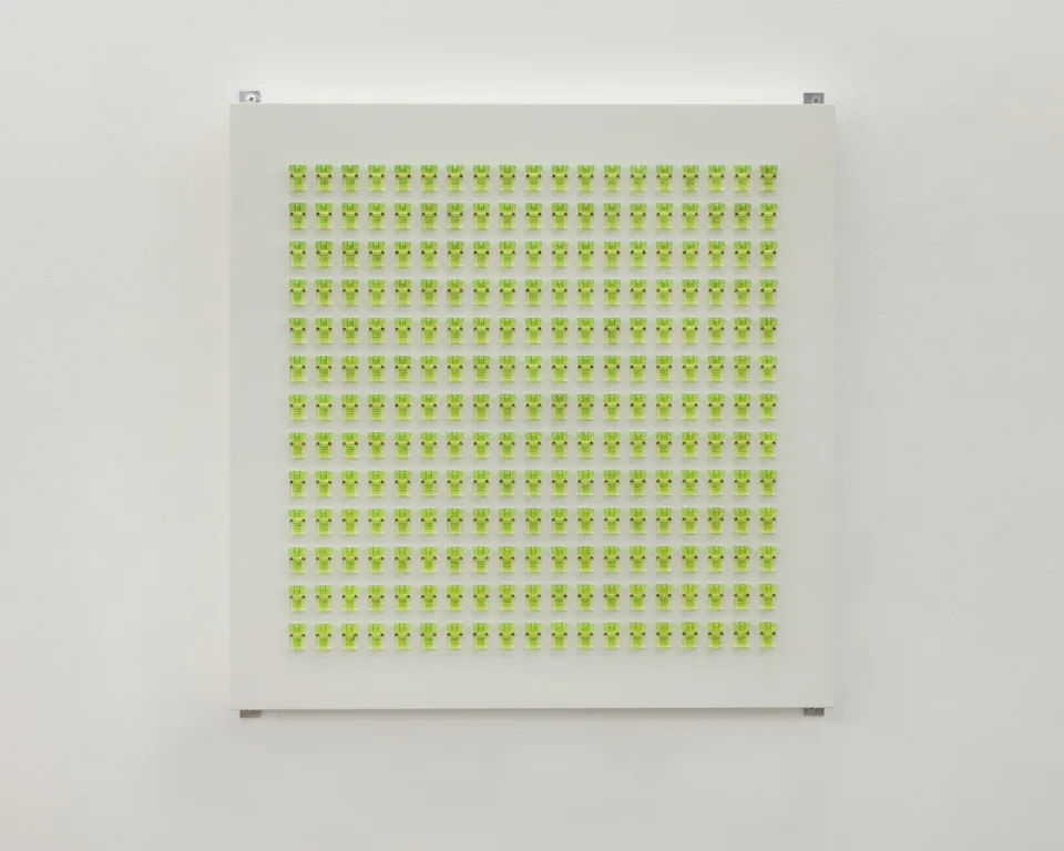 Front view of a square panel of lime-green fittings