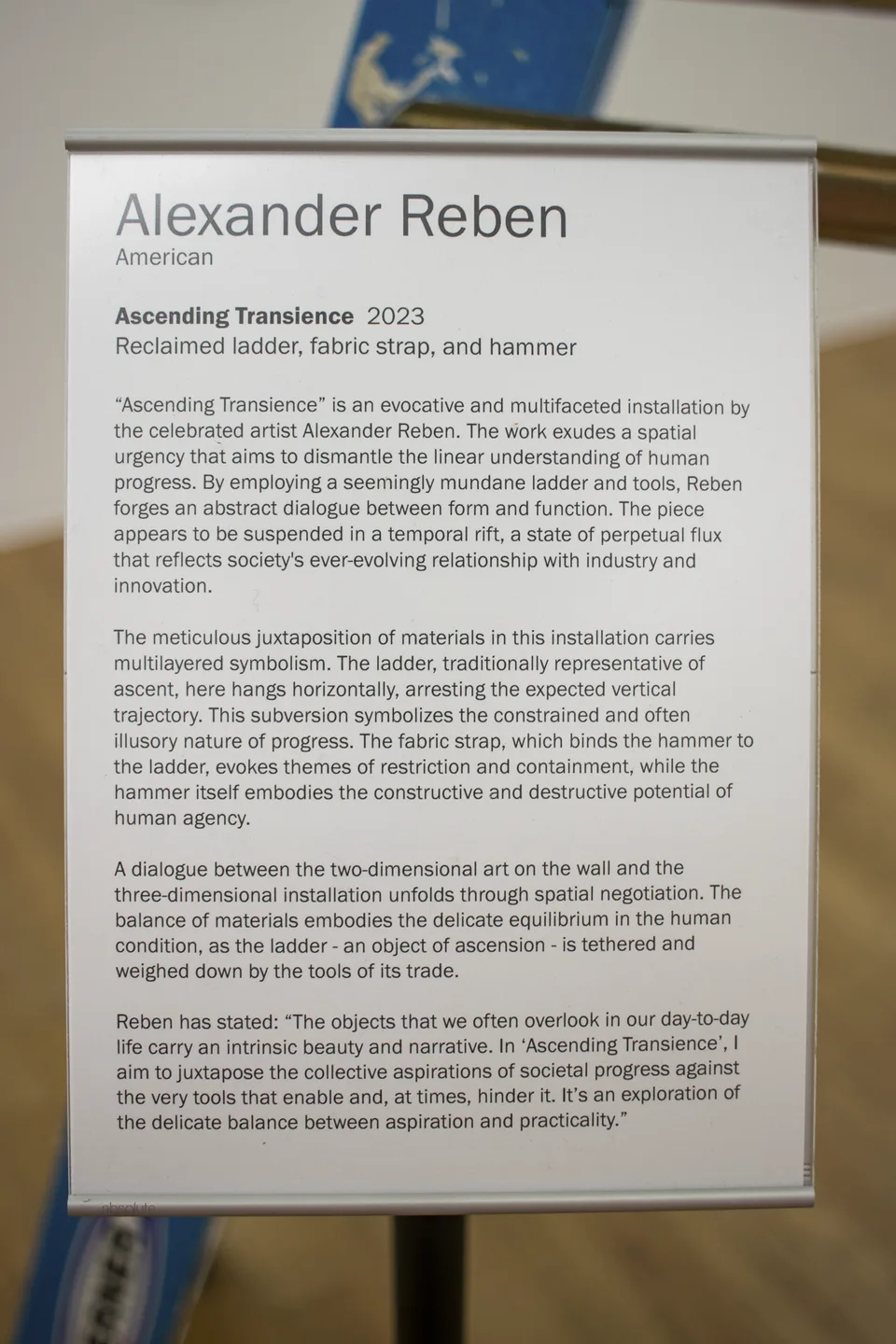 The accompanying wall label for Ascending Transience is displayed in front of the blue ladder.