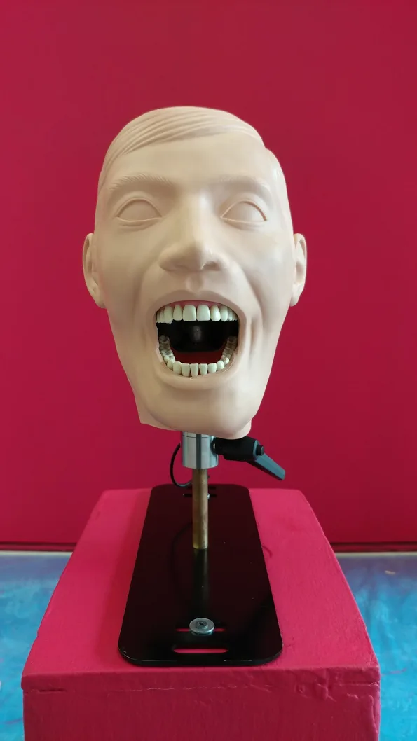 The anatomical head used in glossolalia mounted above a red plinth