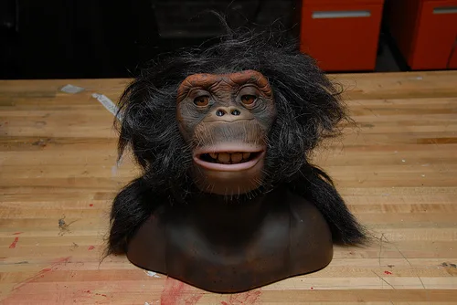 The animatronic monkey head James Chimpton on a wooden floor