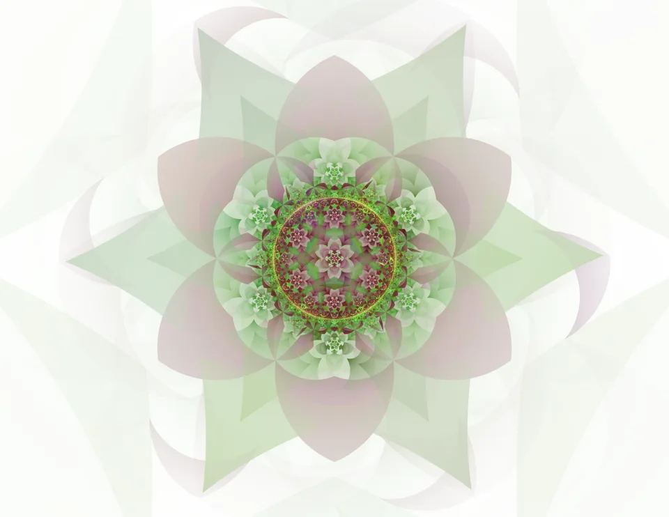 A detailed green circular rosette sits inside broad translucent pink and pale green petals.