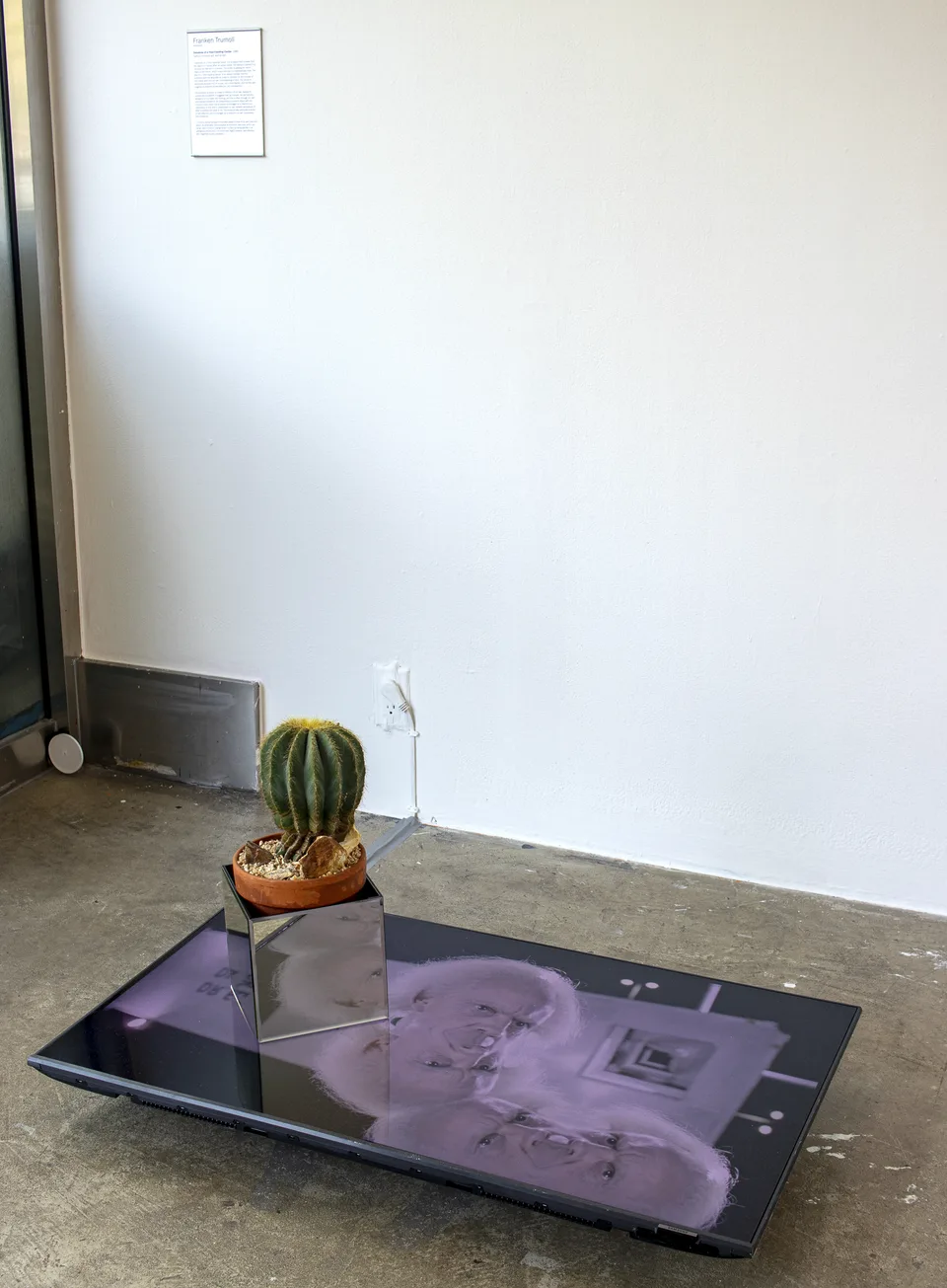 The cactus and screen installation sits below its printed wall label in a corner of the gallery.
