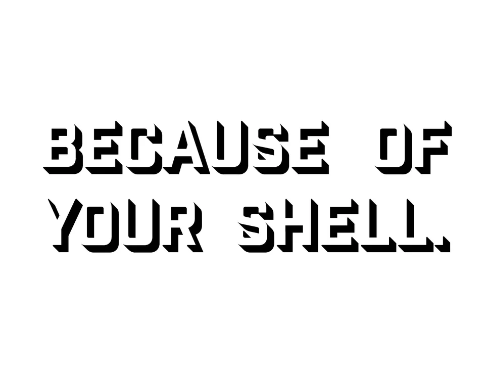 Black lettering on white reads: Because of your shell.