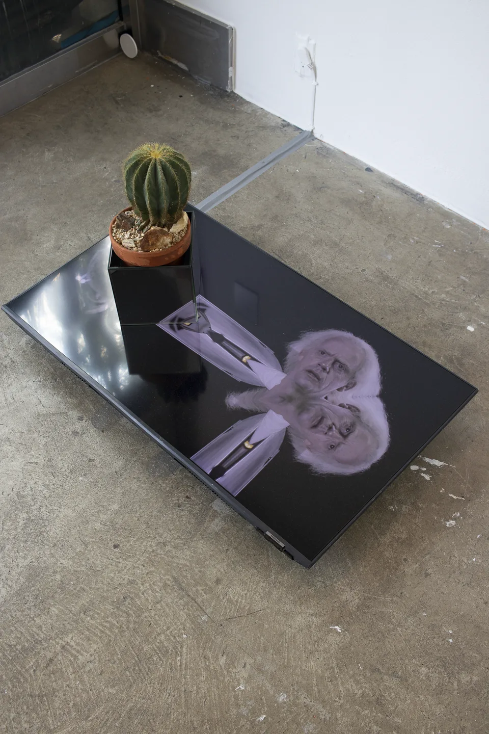 An angled view of the cactus and mirrored enclosure above a screen displaying a symmetrically repeated figure.