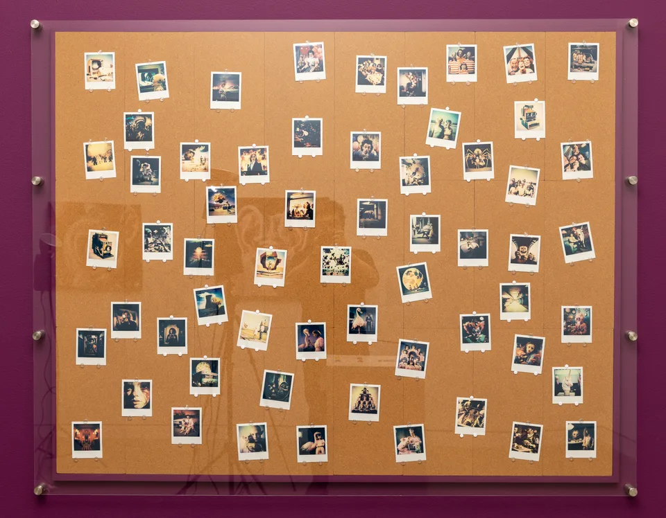 Dozens of small instant photographs pinned to a cork board behind a clear cover on a purple wall.